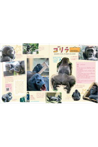 楽天ブックス 関西みんなの動物園と水族館 本 楽天ブックス 関西みんなの動物園と水族館 本